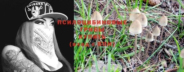 ГАЛЛЮЦИНОГЕННЫЕ ГРИБЫ Покров
