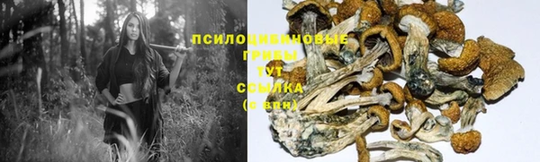прущие крисы Алексеевка