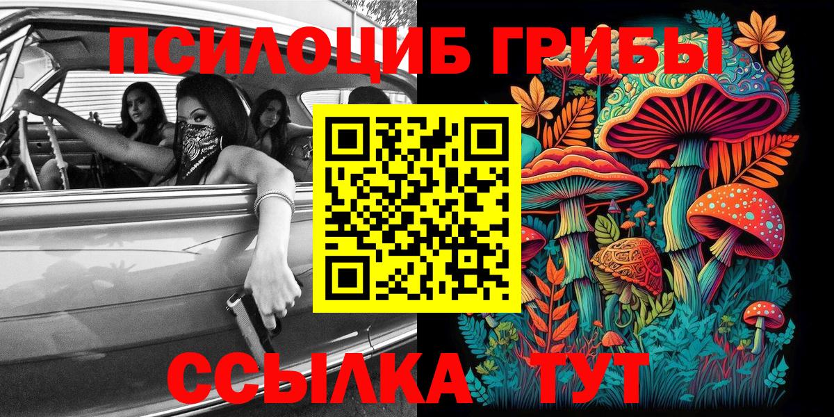 Гуково  Псилоцибиновые грибы Psilocybe  Галлюциногенные грибы Psilocybe  Вход с VPN 